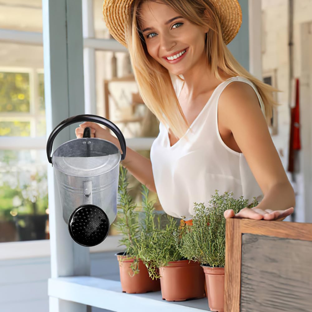 Megawodar size scale next to hand illustrating 1-gallon capacity and comfortable carry