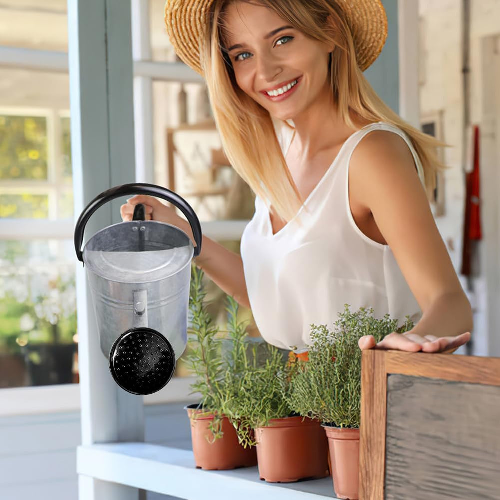 Megawodar size scale next to hand illustrating 1-gallon capacity and comfortable carry