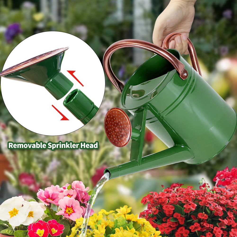 Megawodar pouring with straight spout into succulent pot for precise root watering