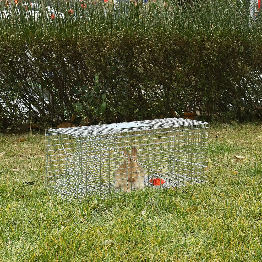 Meibangzz deployed in backyard near shed showing practical use in home and farm settings benefit