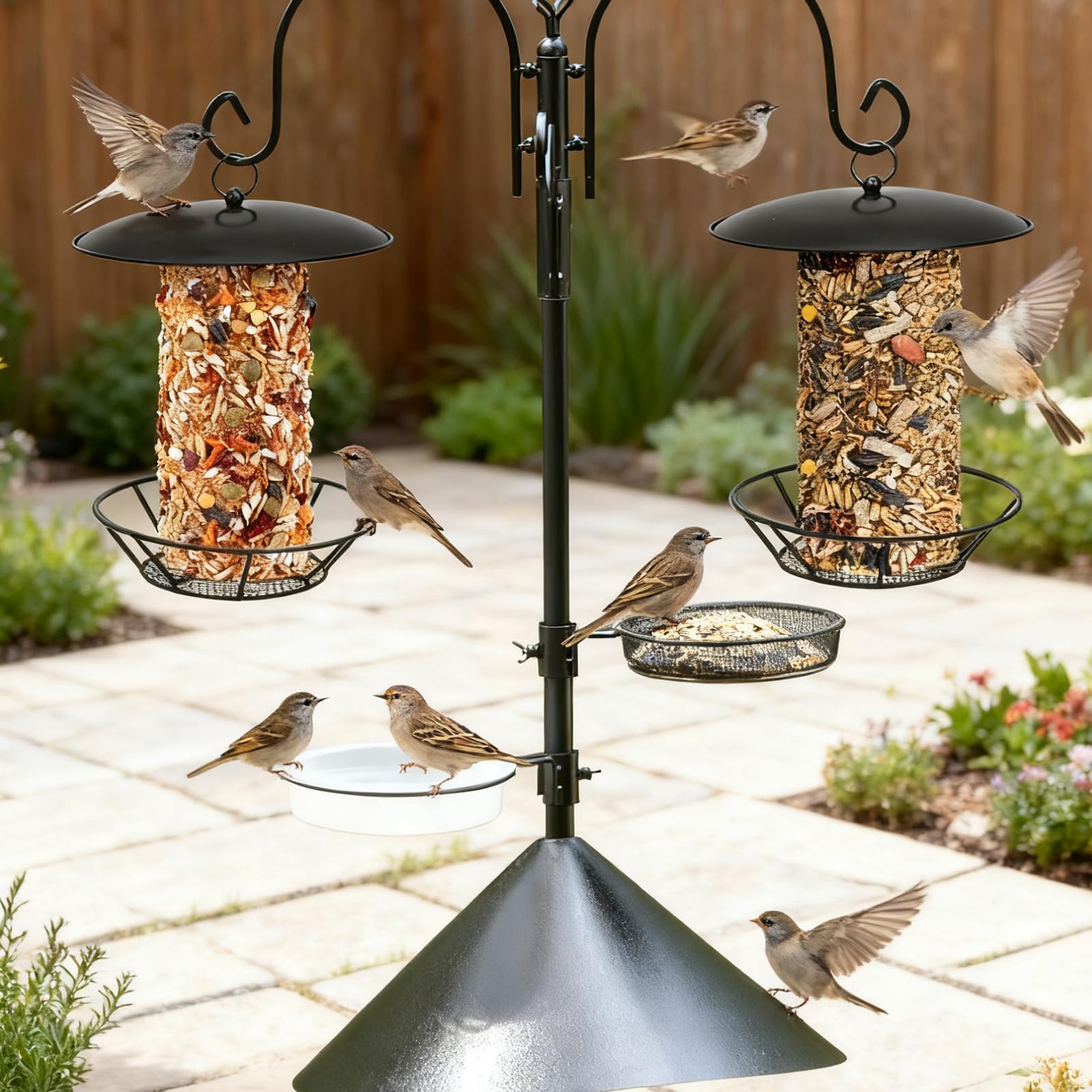 meiqidi small songbirds perching and feeding illustrating wildlife attraction benefit