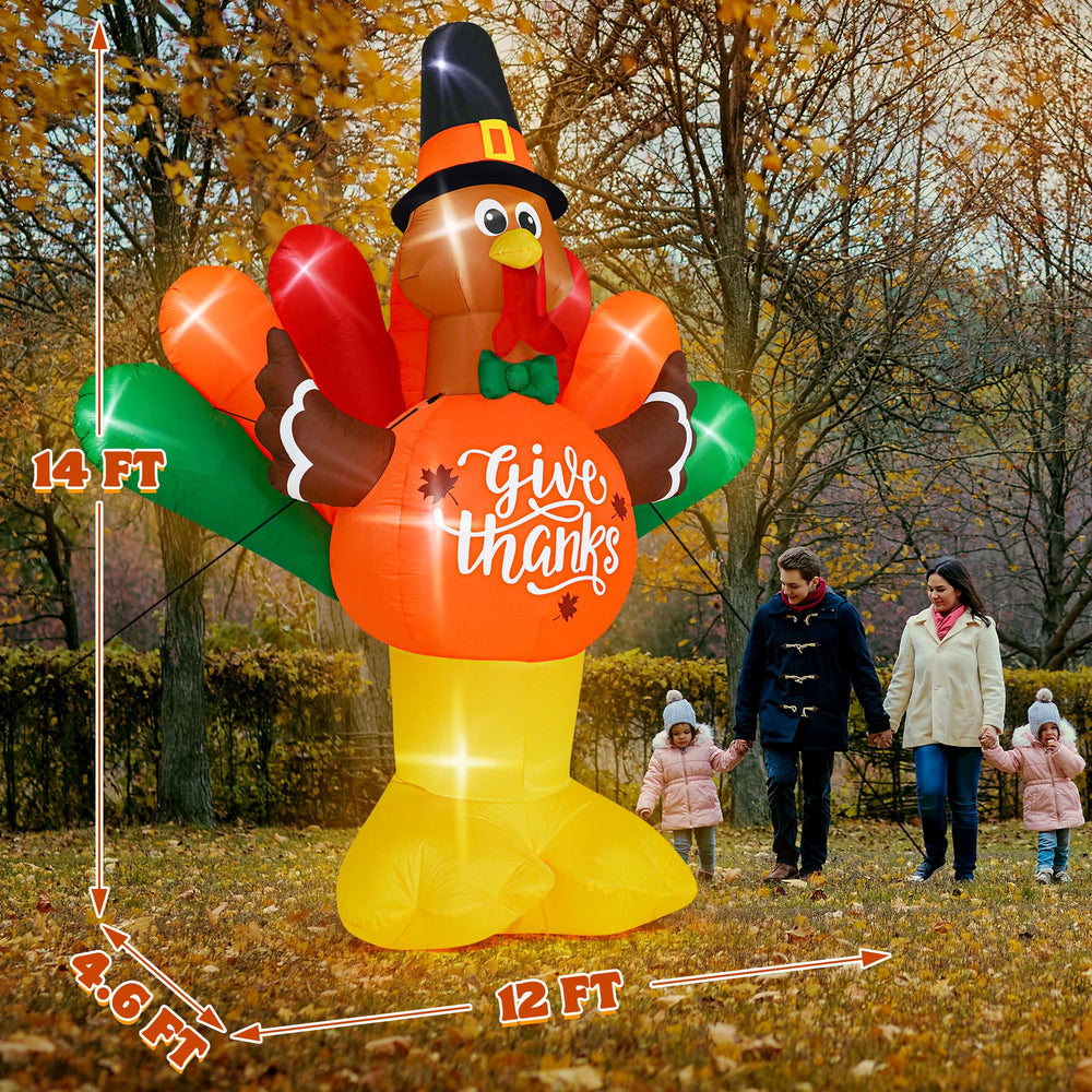 Melisheer close-up of colorful tail feathers emphasizing vibrant seasonal design