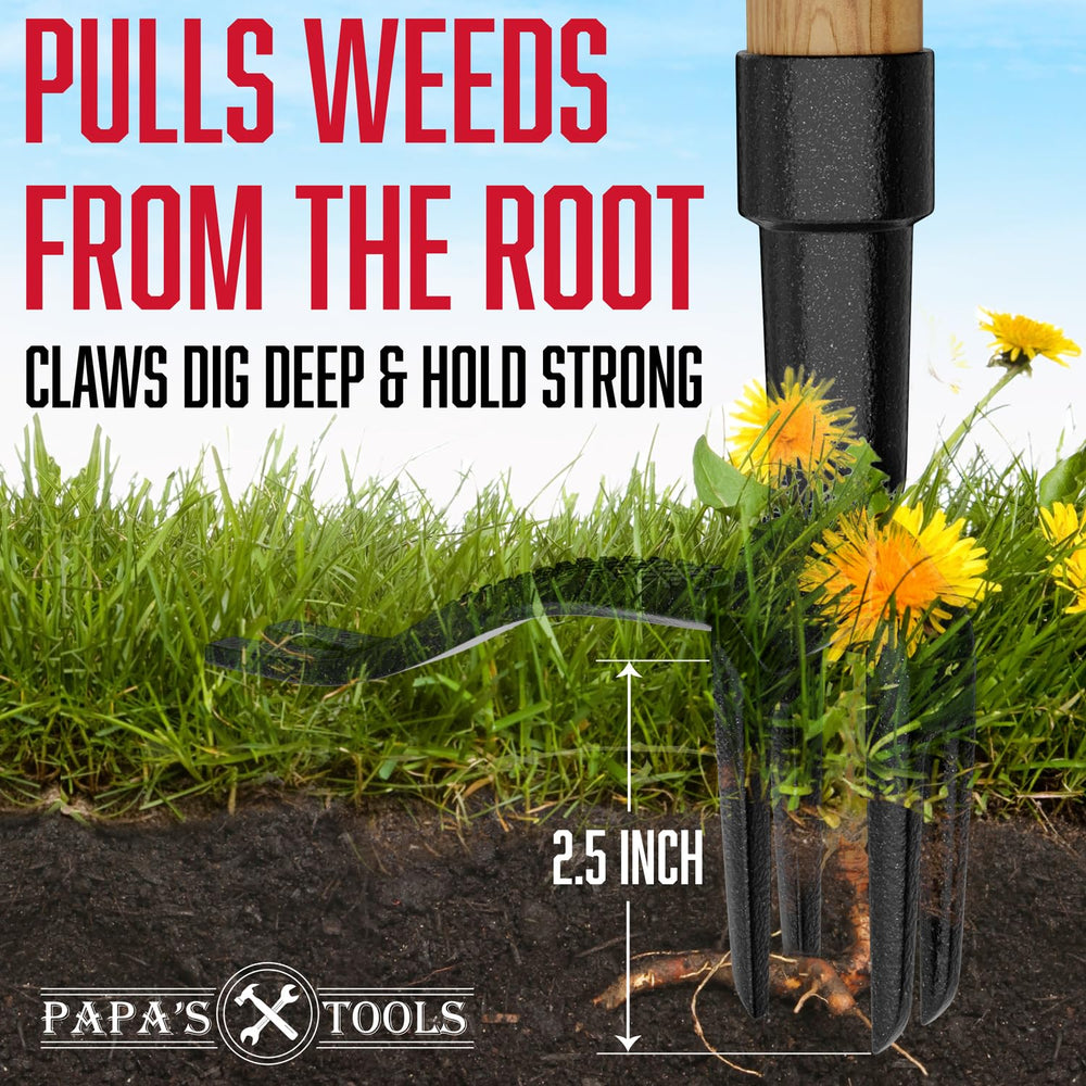 MELISSA AND HARRY close-up of 4-claw steel head showing strong root grip benefit
