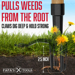 MELISSA AND HARRY close-up of 4-claw steel head showing strong root grip benefit