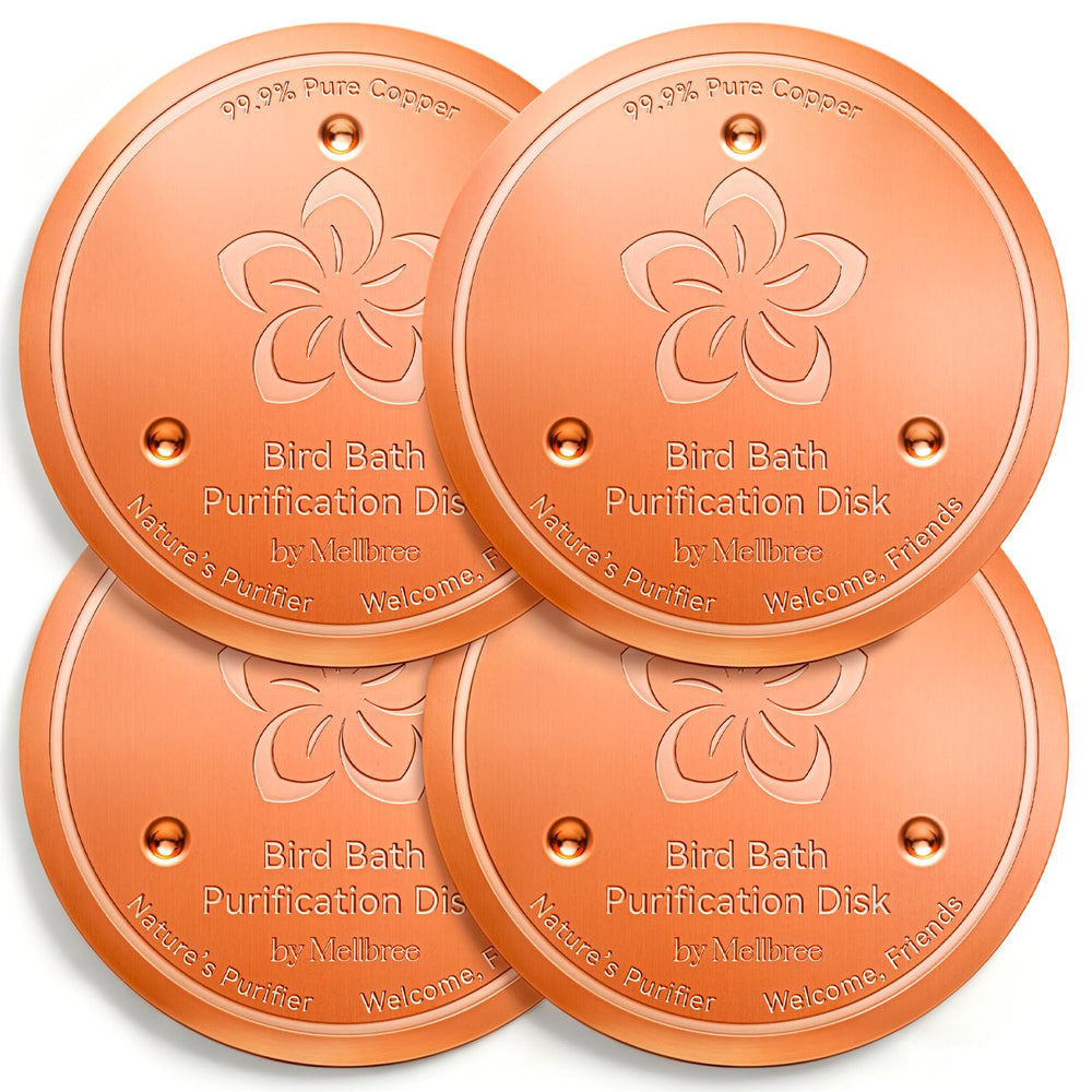 Mellbree front pack of four copper discs showing compact retail packaging and convenience