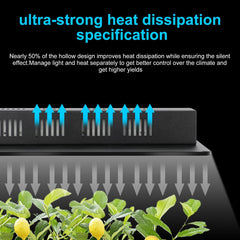 MELONFARM LED close-up Samsung LM301 diodes delivering efficient light