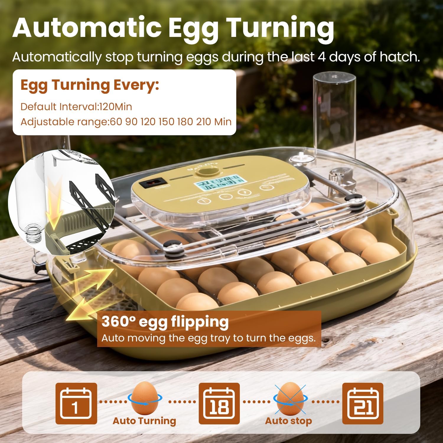 MEMTIM 360-degree visibility dome offering unobstructed embryo observation