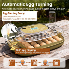 MEMTIM 360-degree visibility dome offering unobstructed embryo observation