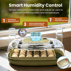 MEMTIM closeup digital control panel with precise temperature readout benefit