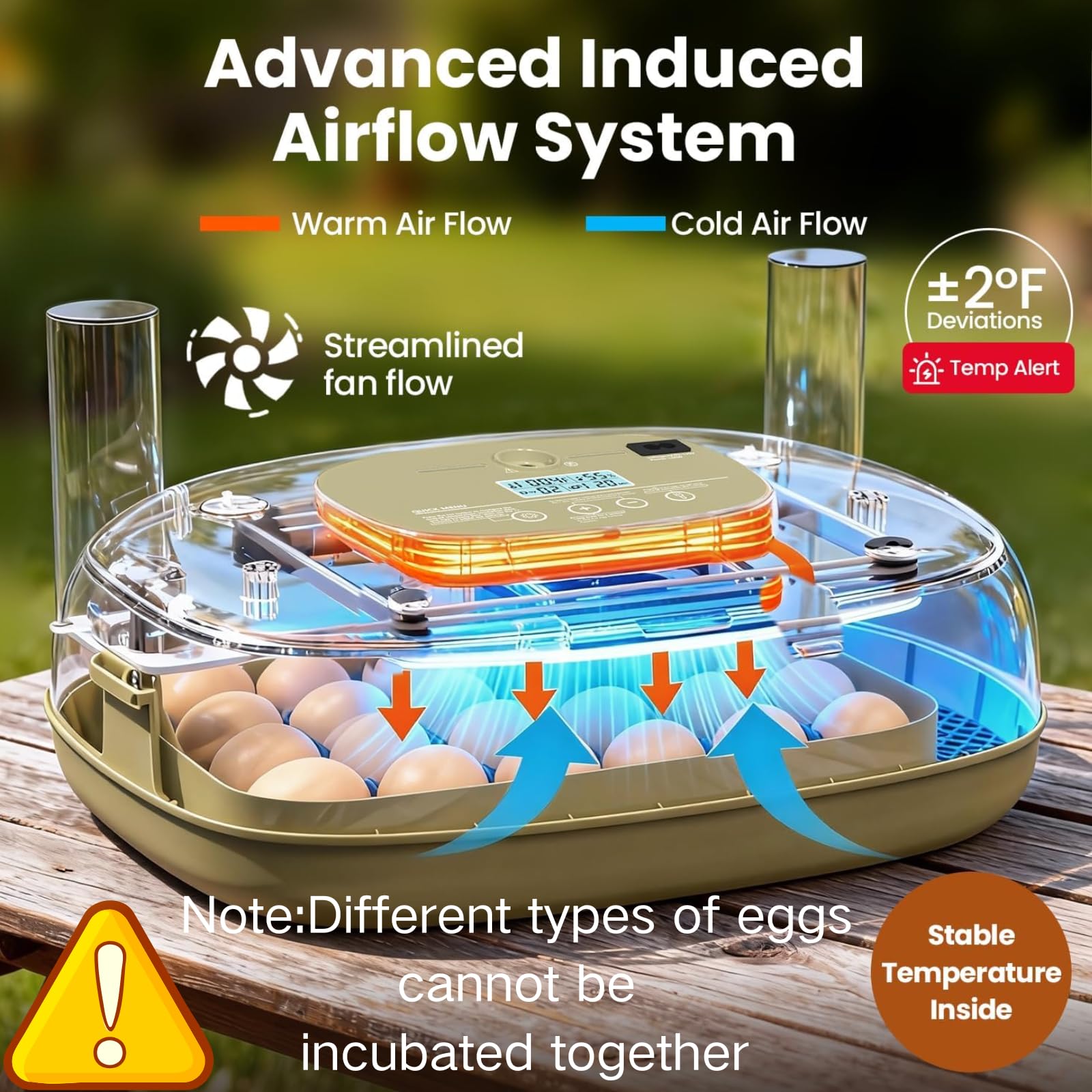 MEMTIM adjustable egg tray grid demonstrating flexible capacity and spacing
