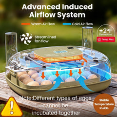 MEMTIM adjustable egg tray grid demonstrating flexible capacity and spacing