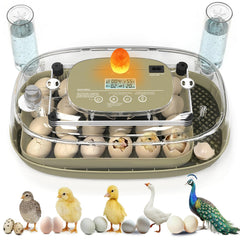MEMTIM front view clear dome showing full visibility and easy monitoring