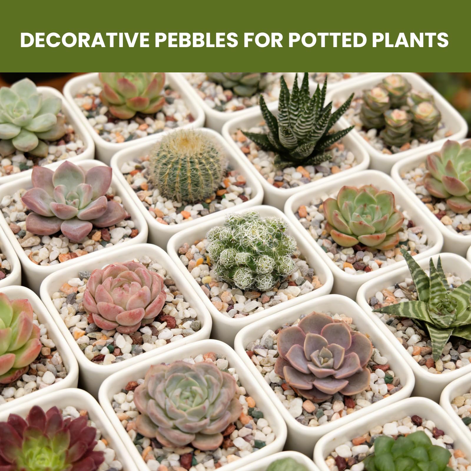Mengdewei pebbles in aquarium showing clean substrate and aesthetic benefit