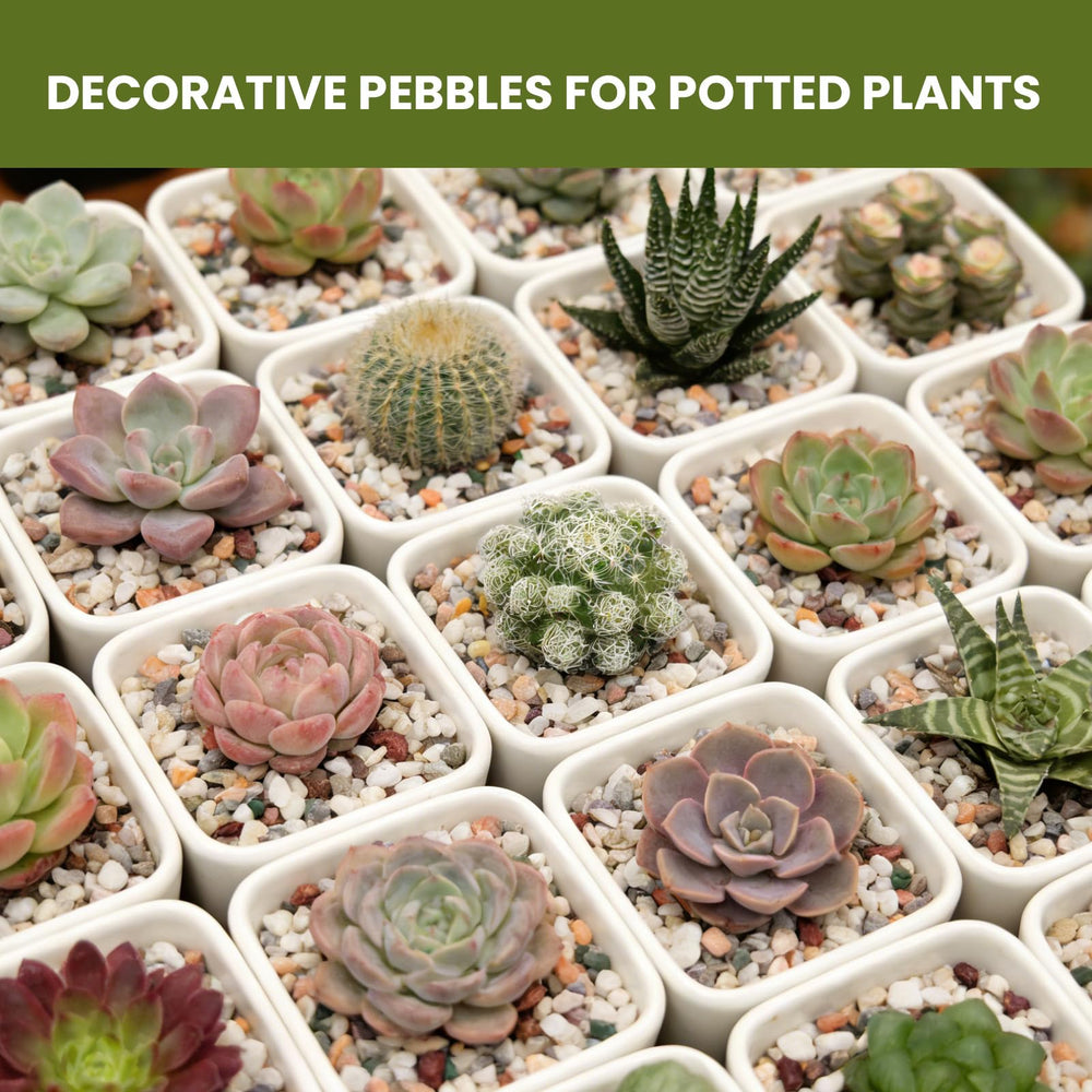 Mengdewei pebbles in aquarium showing clean substrate and aesthetic benefit