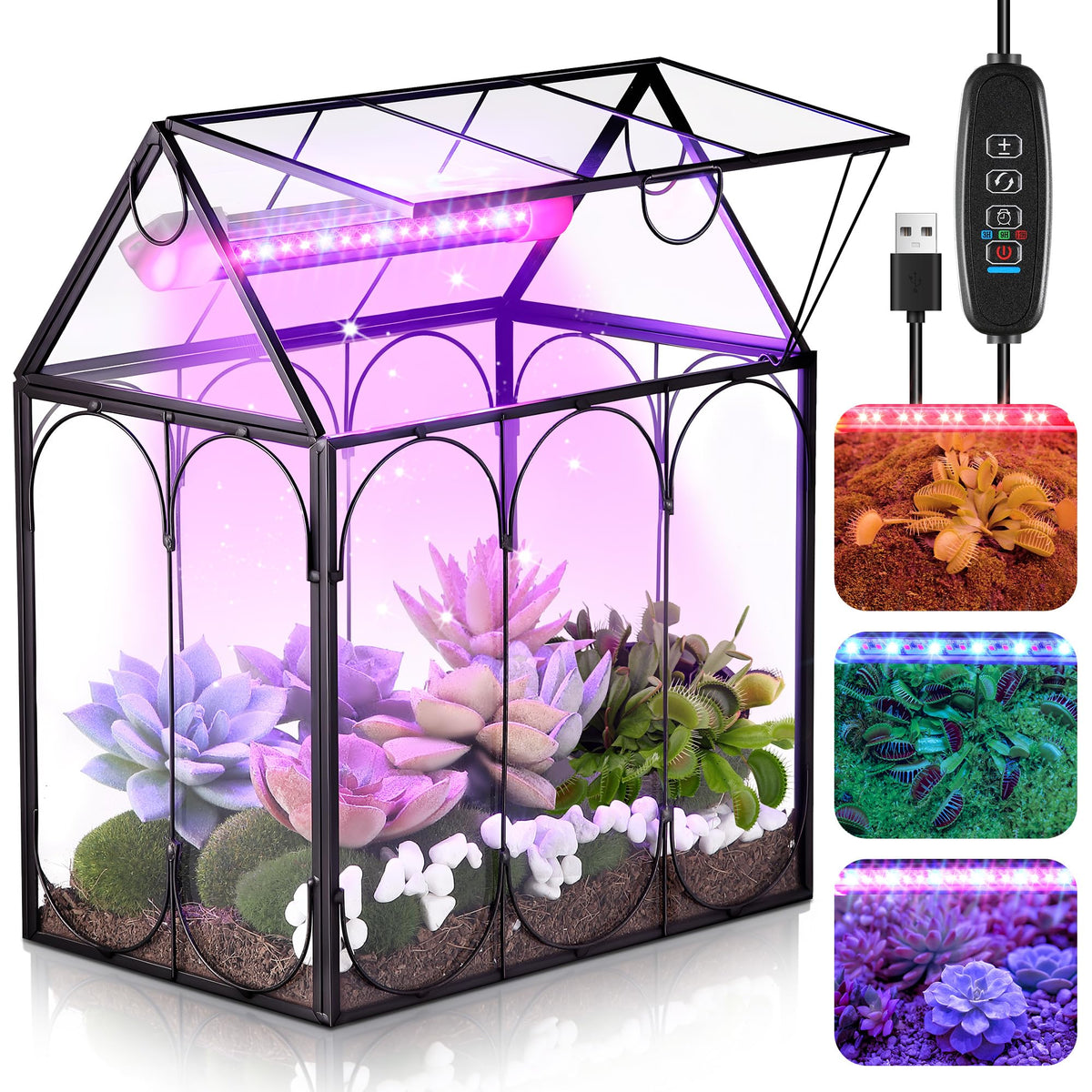 Meonum front view house terrarium showing clear glass and copper frame benefit: elegant display