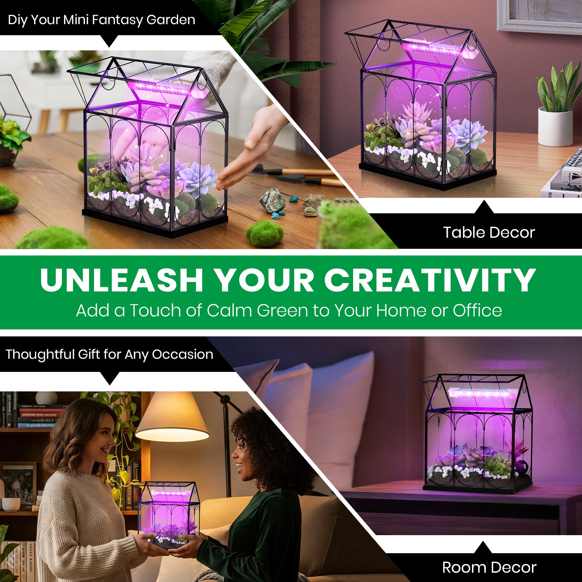 Meonum terrarium on desk showing size comparison benefit: compact for small spaces