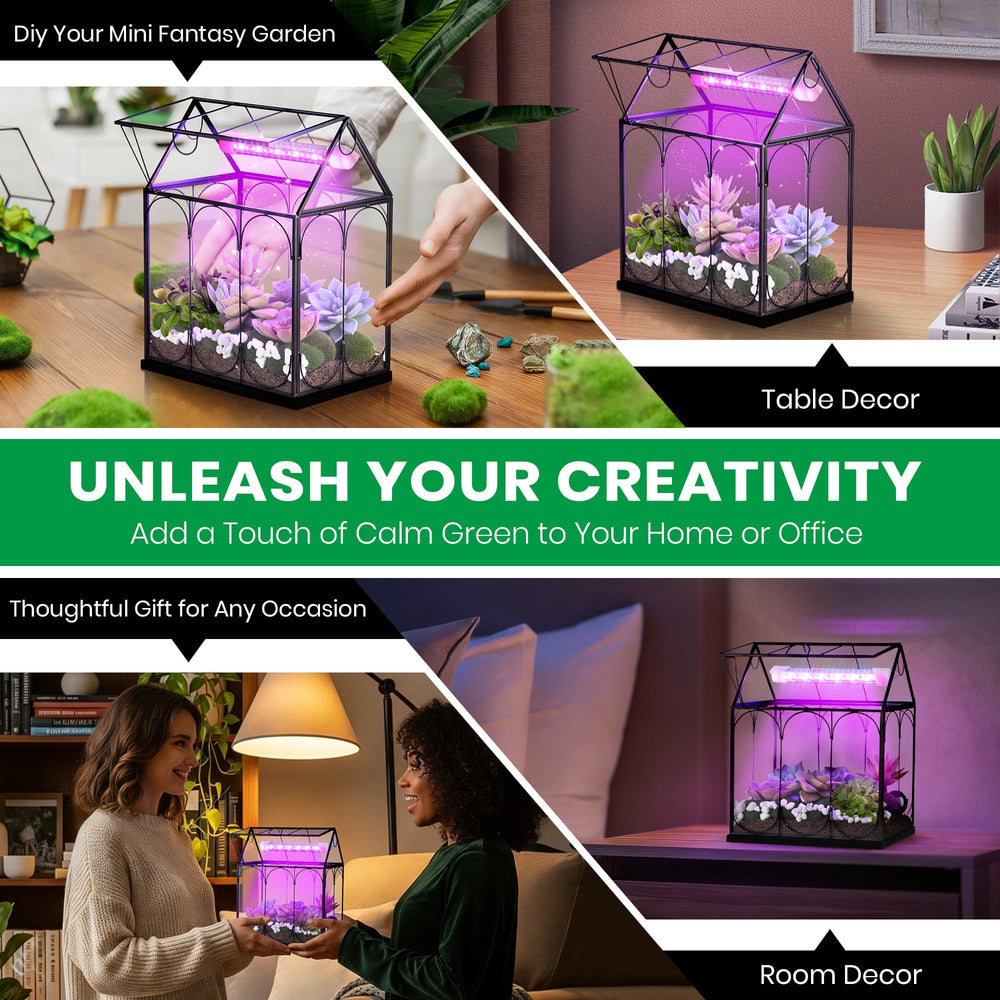 Meonum terrarium on desk showing size comparison benefit: compact for small spaces