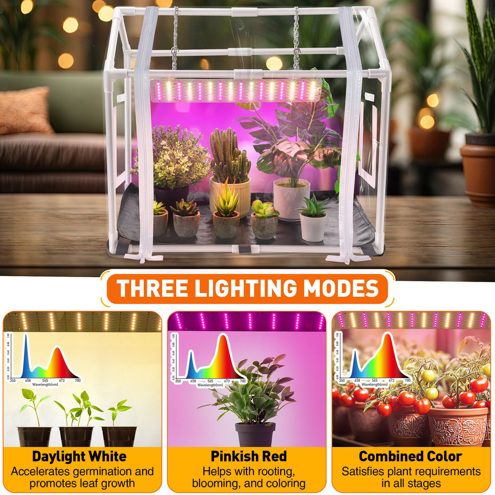 Meonum interior with seedling trays showcasing organized propagation benefit