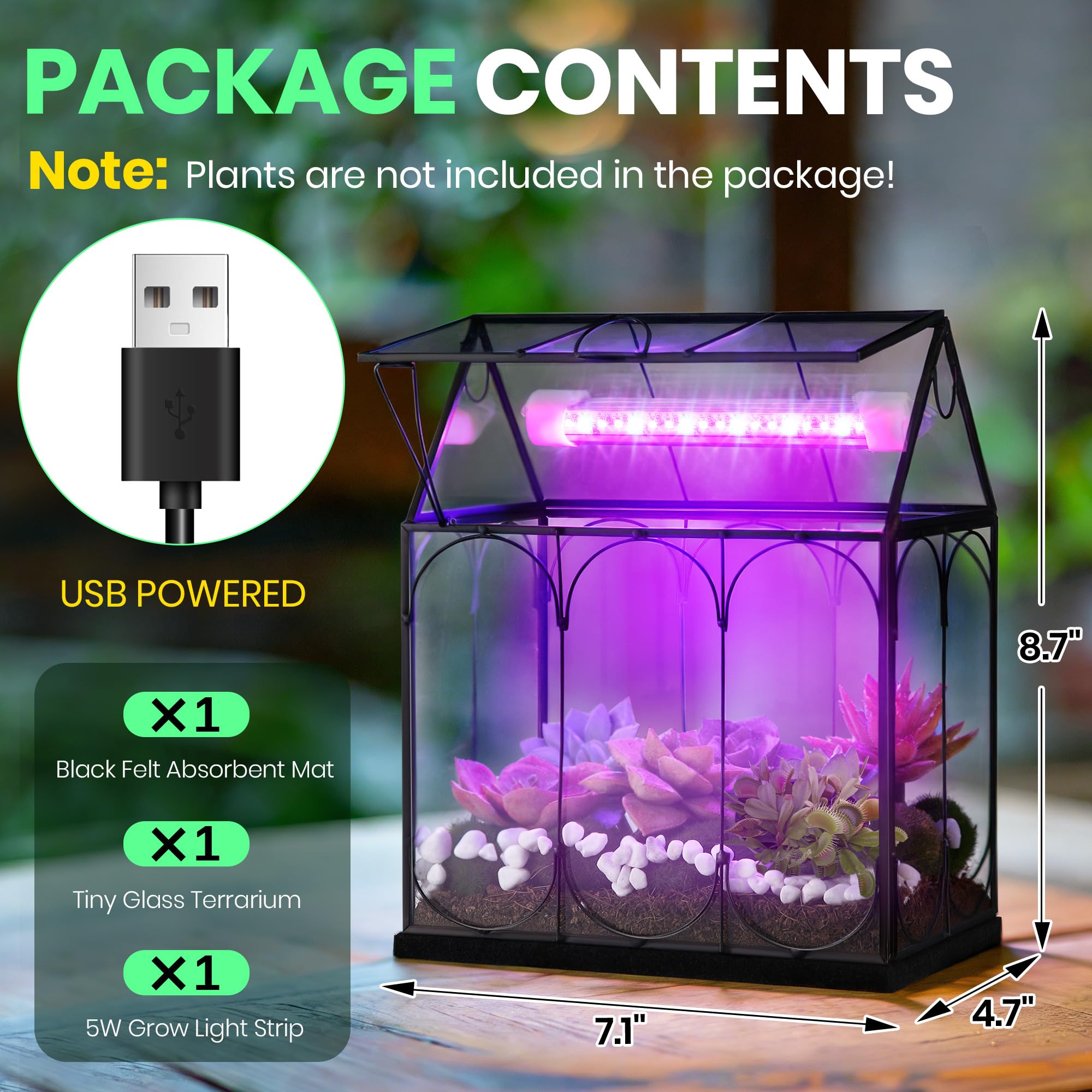 Meonum top-open lid detail with support rod for easy watering benefit: simple access