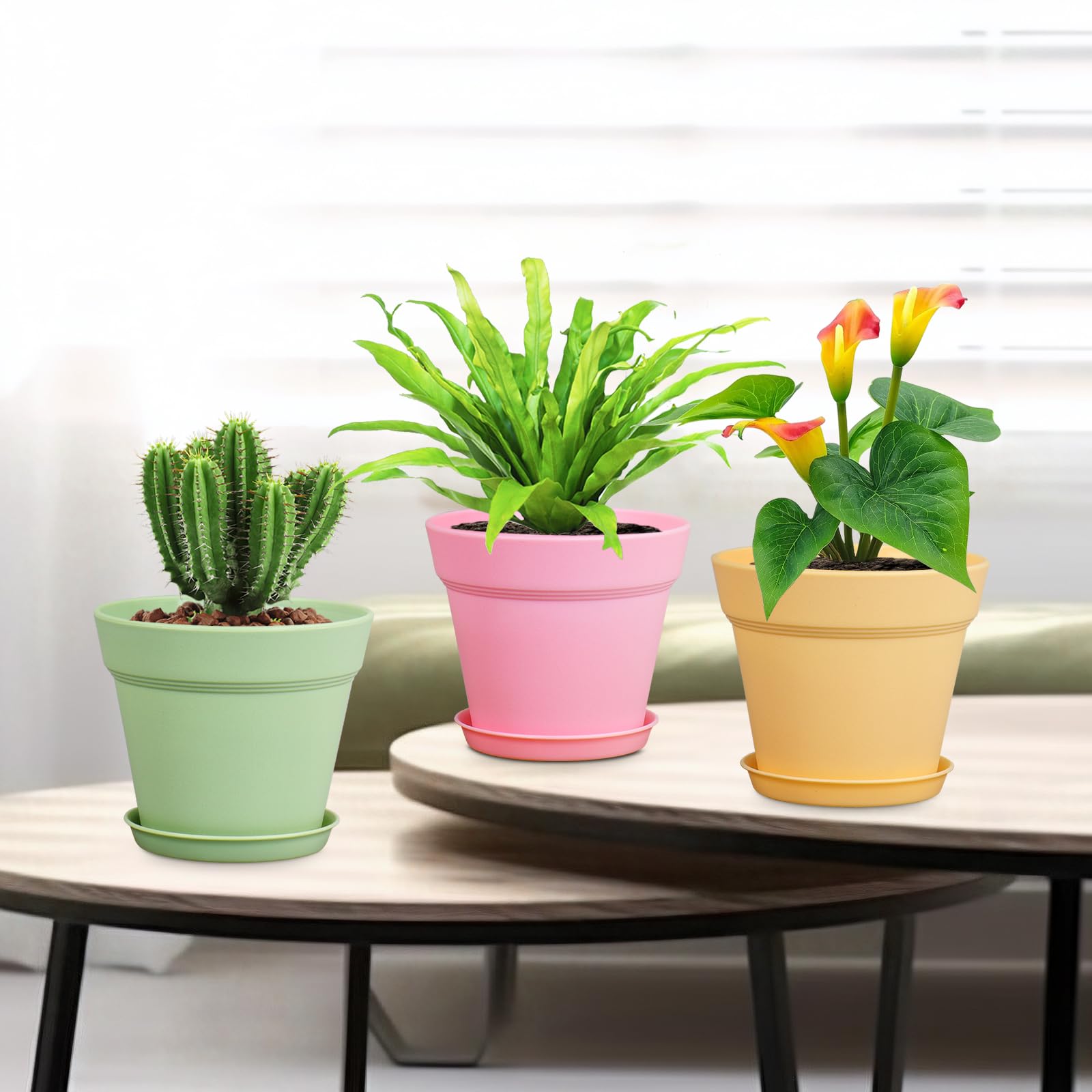 Meowell painted pots DIY project showcasing customization and family-friendly crafting