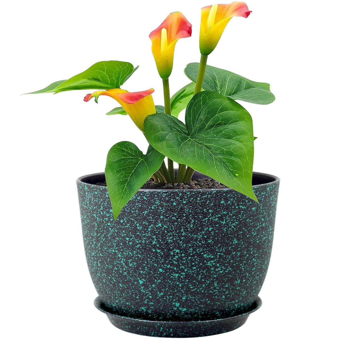 Meowell front view 12 inch planter showing modern look and easy styling