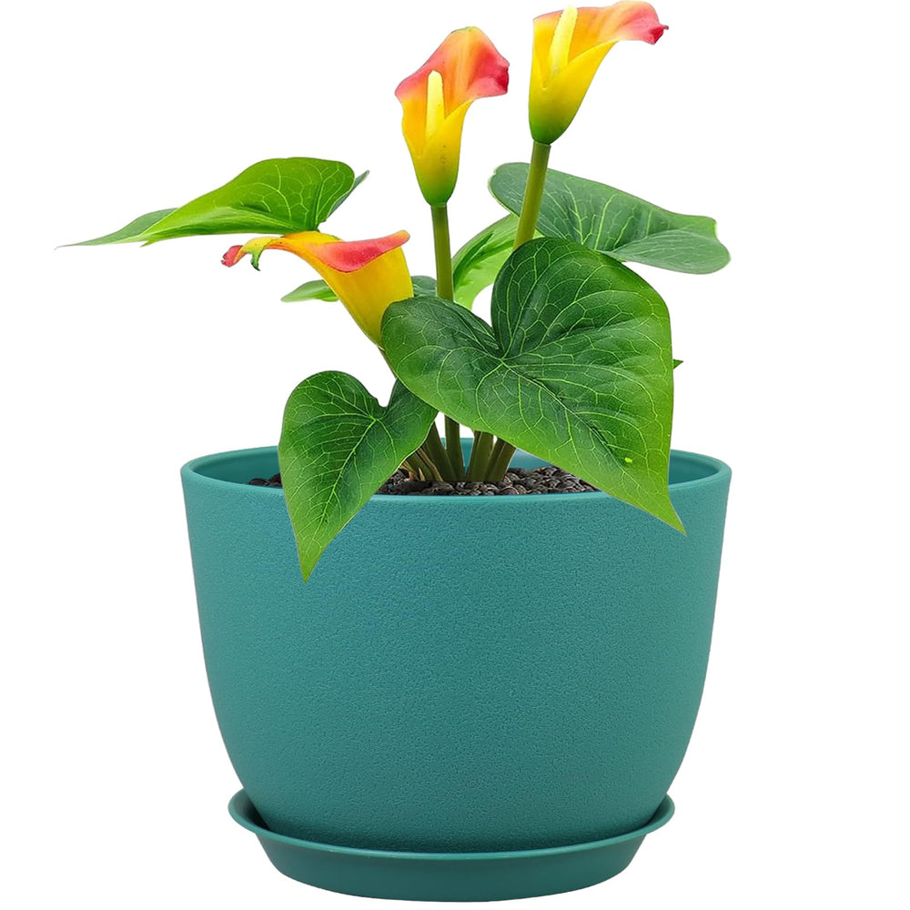 Meowell front view of blue green planter showing modern look and safe handling