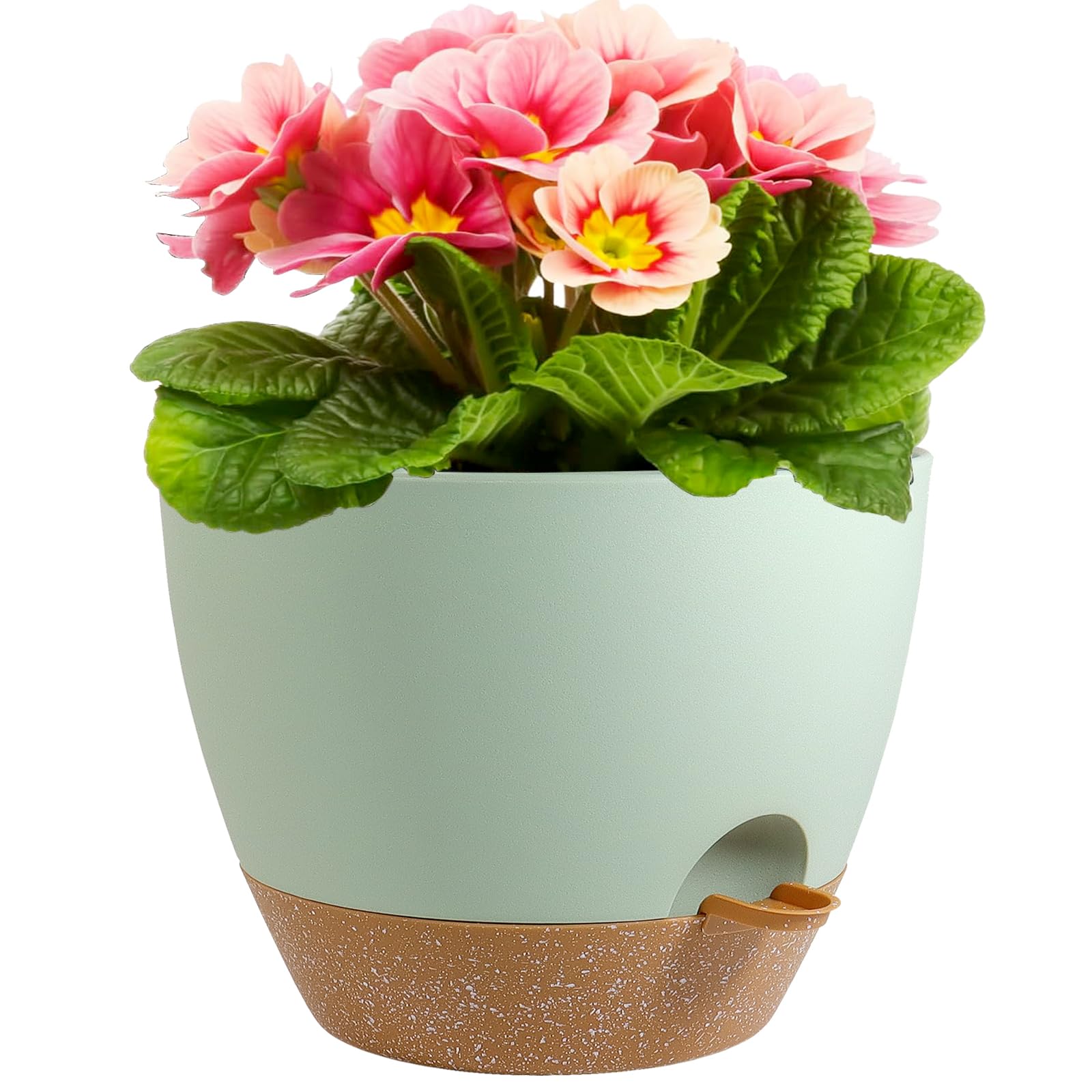 Meowell front view of green and brown pot showing shape and finish, durable aesthetic