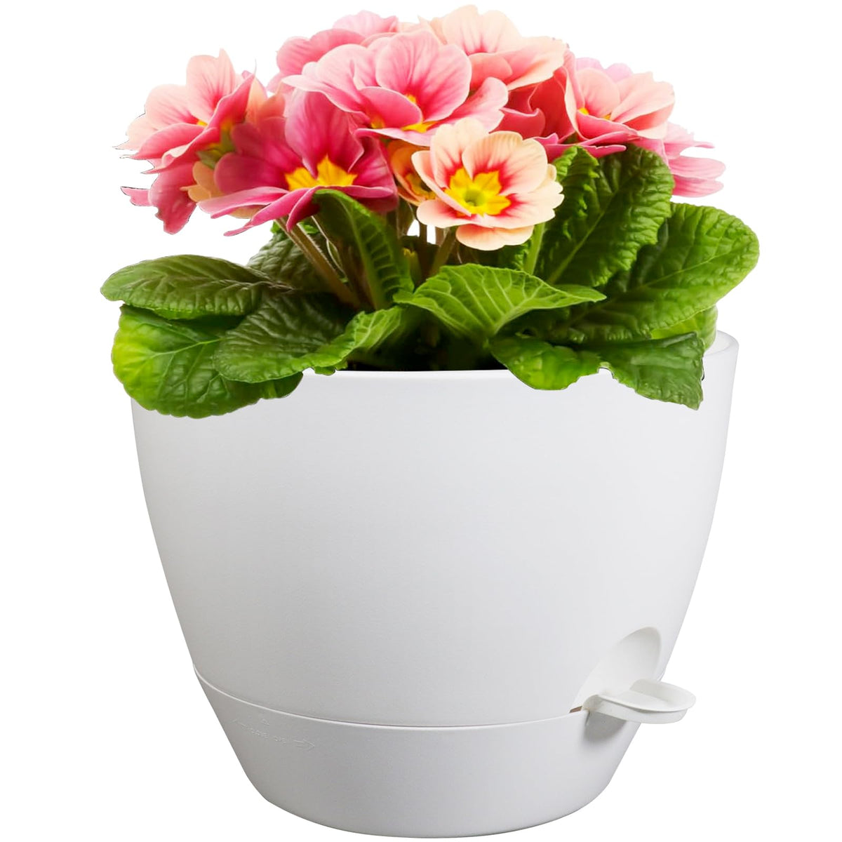 Meowell front view white pot showing sleek design and easy placement benefit