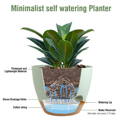 Meowell pot in a sunny windowsill with herb, saves frequent watering