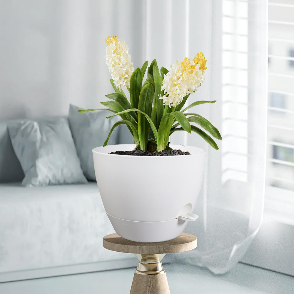 Meowell on balcony with multiple pots illustrating stylish outdoor décor benefit