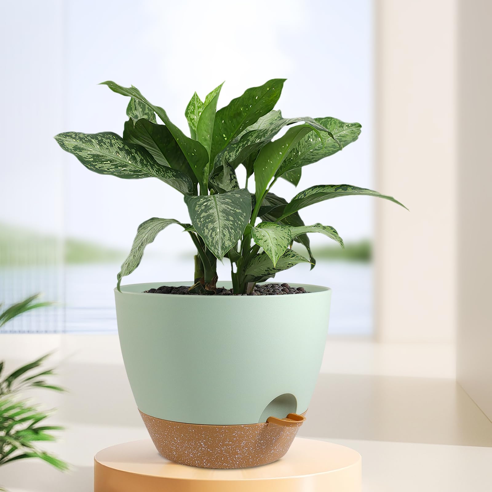 Meowell patio display with multiple pots adding color and low-maintenance greenery