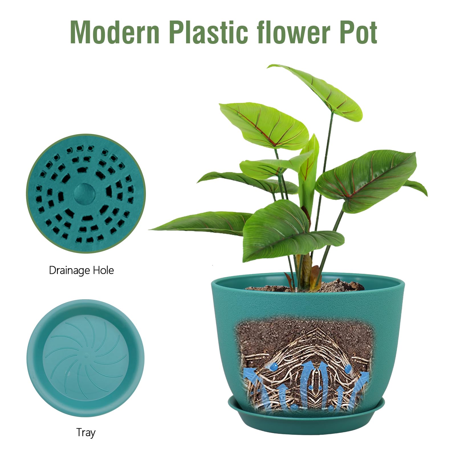 Meowell planter with fiddle leaf fig demonstrating healthy display benefit