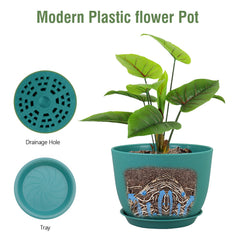 Meowell planter with fiddle leaf fig demonstrating healthy display benefit