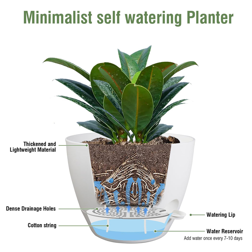 Meowell pot in use with flowering plant showing low-maintenance watering benefit
