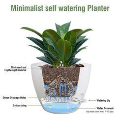 Meowell pot in use with flowering plant showing low-maintenance watering benefit