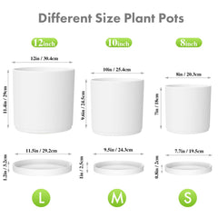 Meowell side profile highlighting pot depth and sturdy cylindrical design