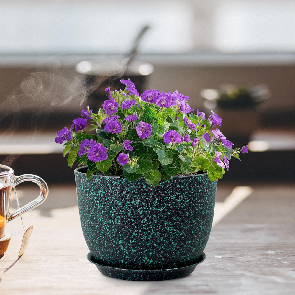 Meowell planter next to ruler for clear 12-inch size reference benefit