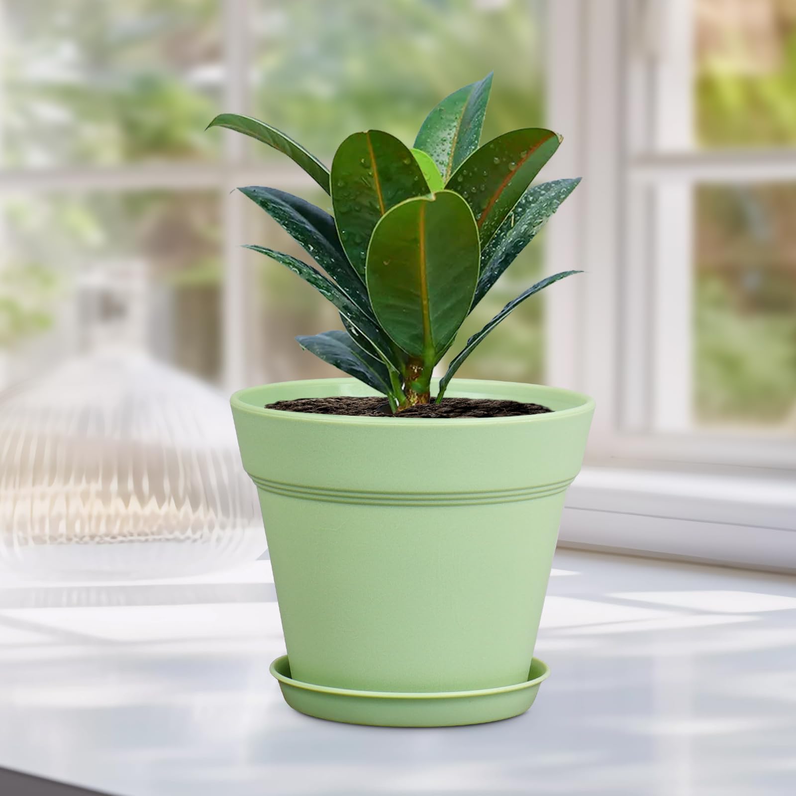 Meowell pot beside a ruler to show 6-inch scale for correct sizing choice