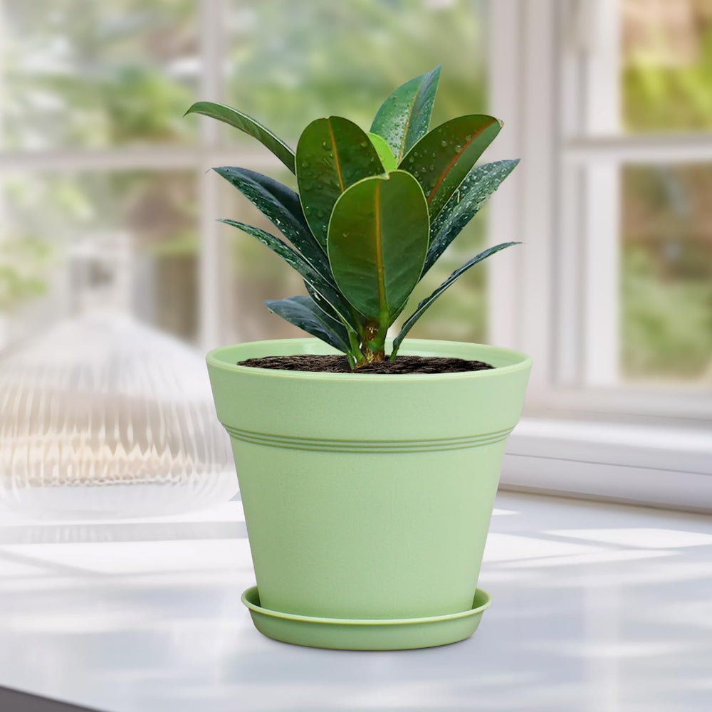 Meowell pot beside a ruler to show 6-inch scale for correct sizing choice