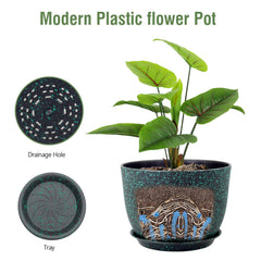 Meowell planter with fiddle leaf fig demonstrating healthy display option
