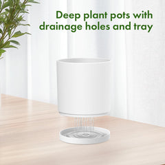 Meowell pots staged on patio with plants, enhancing outdoor decor appeal