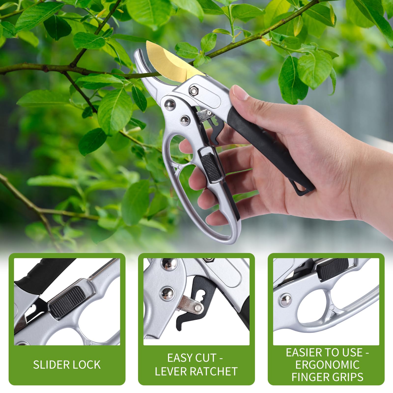 MEPEREZ pruning rose in use showing clean cut and easier trimming