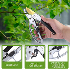 MEPEREZ pruning rose in use showing clean cut and easier trimming