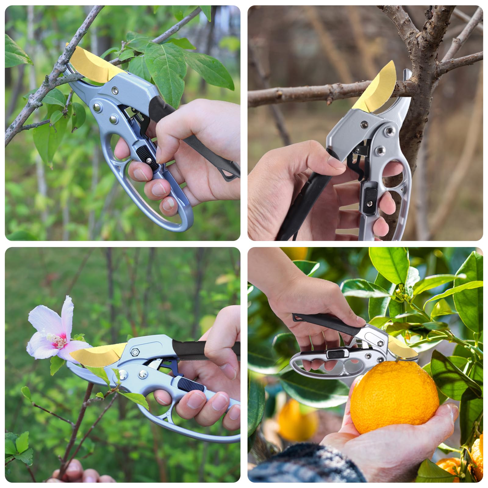 MEPEREZ lifestyle gardening scene showing efficient pruning and tidy garden