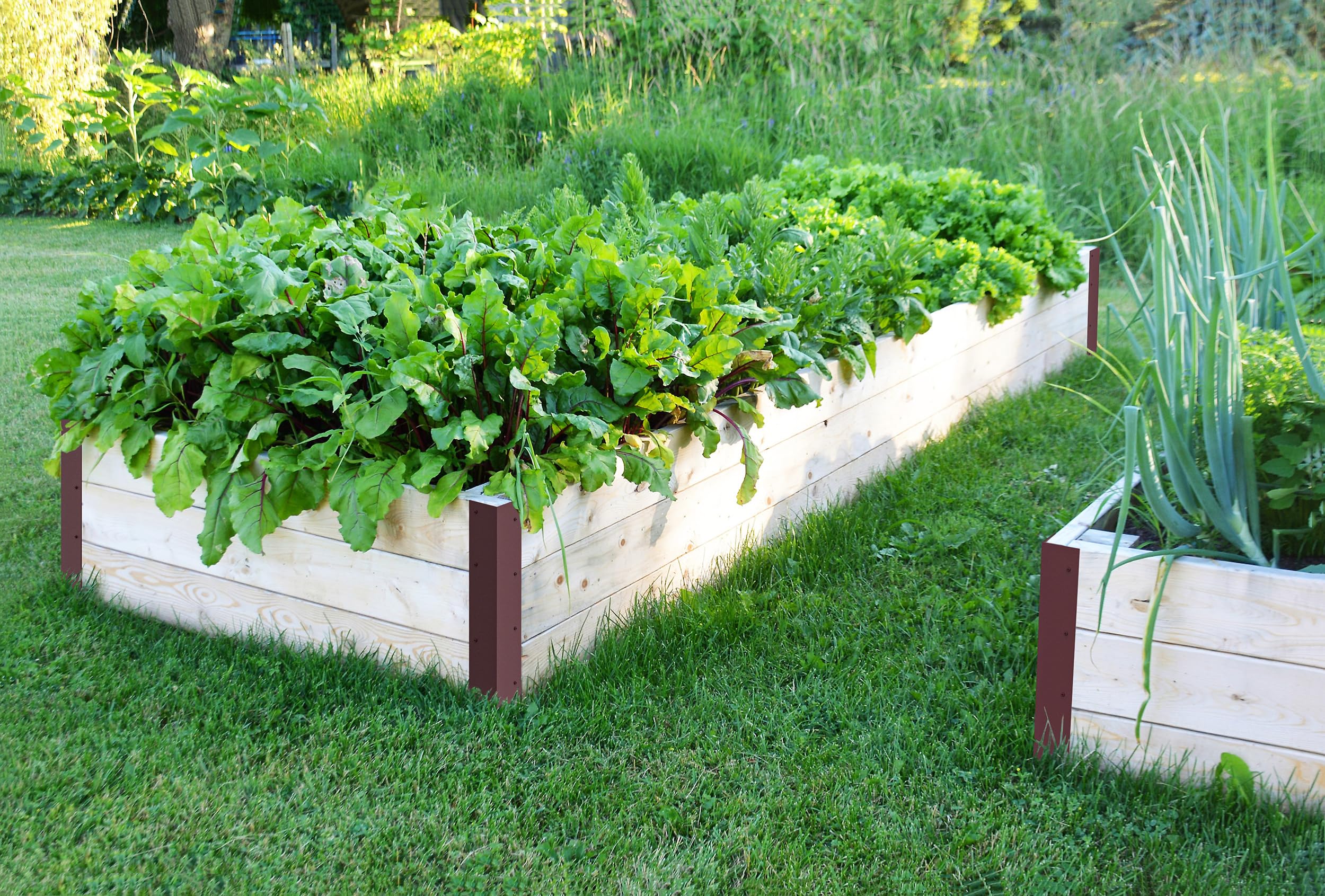 Meranti Home + Garden bracket on completed raised bed in garden demonstrating finished look
