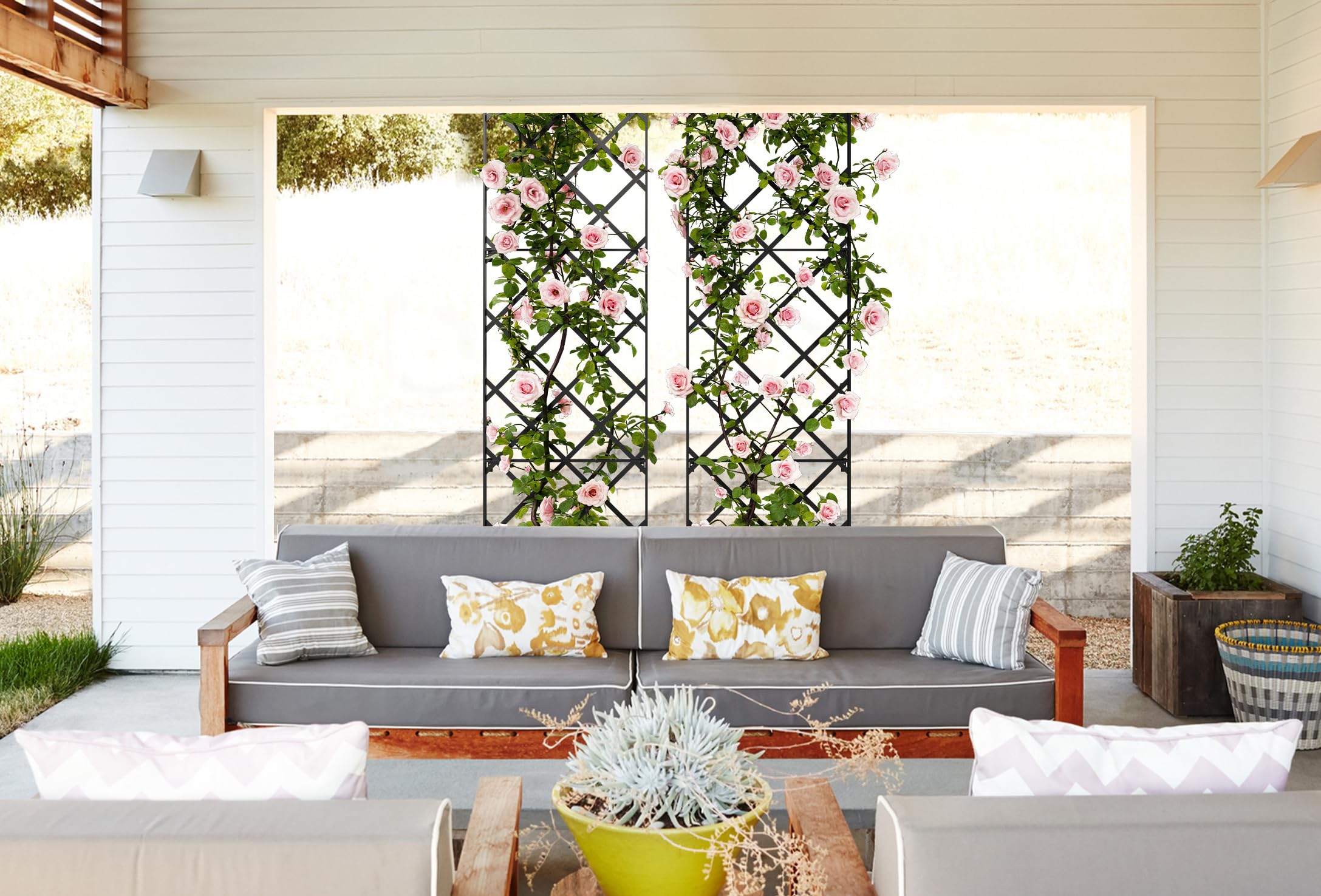 Meranti Home + Garden trellis mounted on fence adding immediate vertical privacy