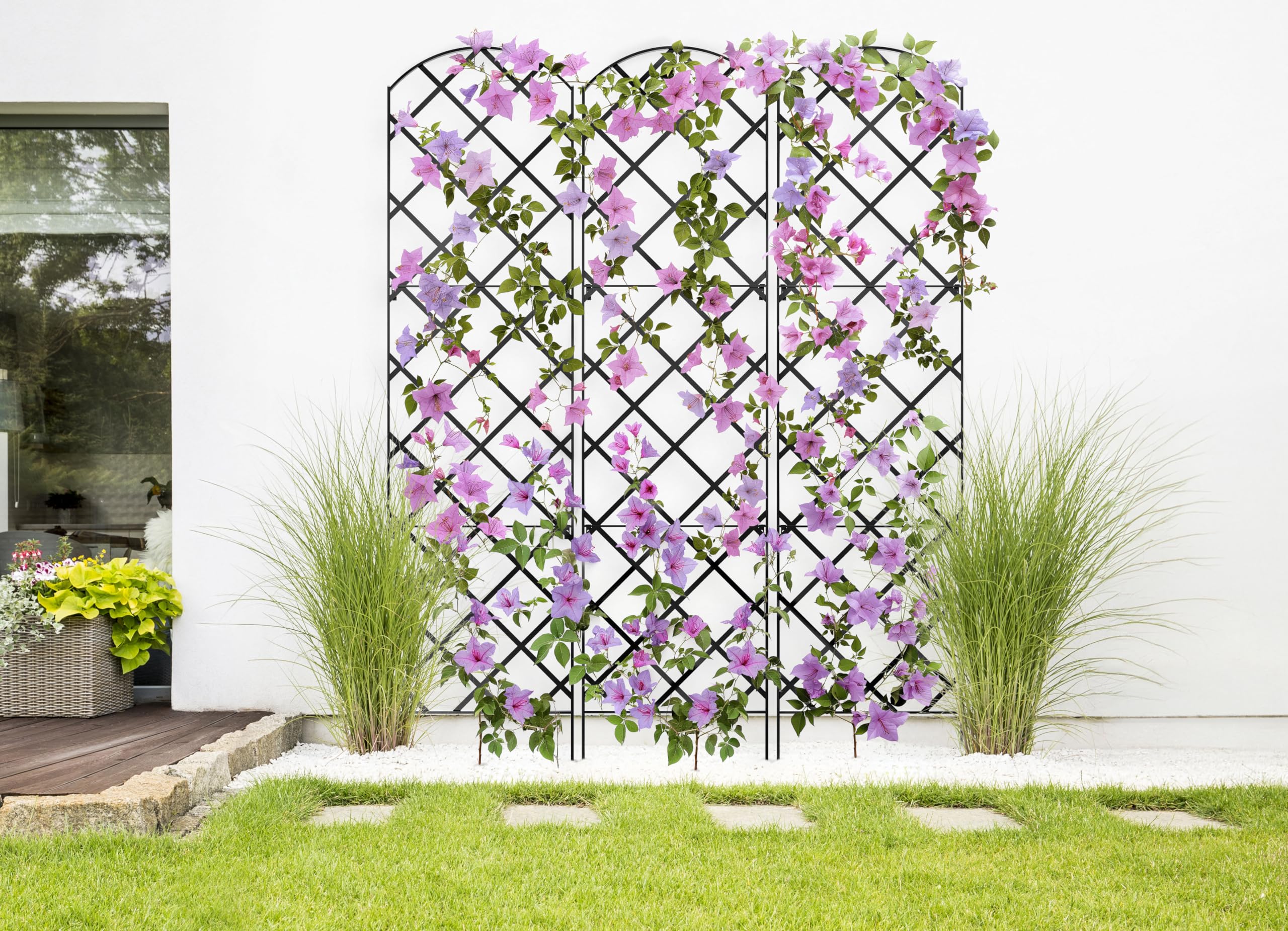 Meranti Home + Garden trellis supporting climbing roses to create a lush screen