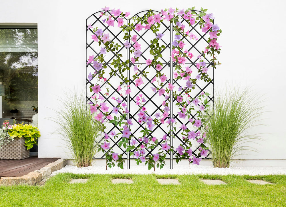 Meranti Home + Garden trellis supporting climbing roses to create a lush screen