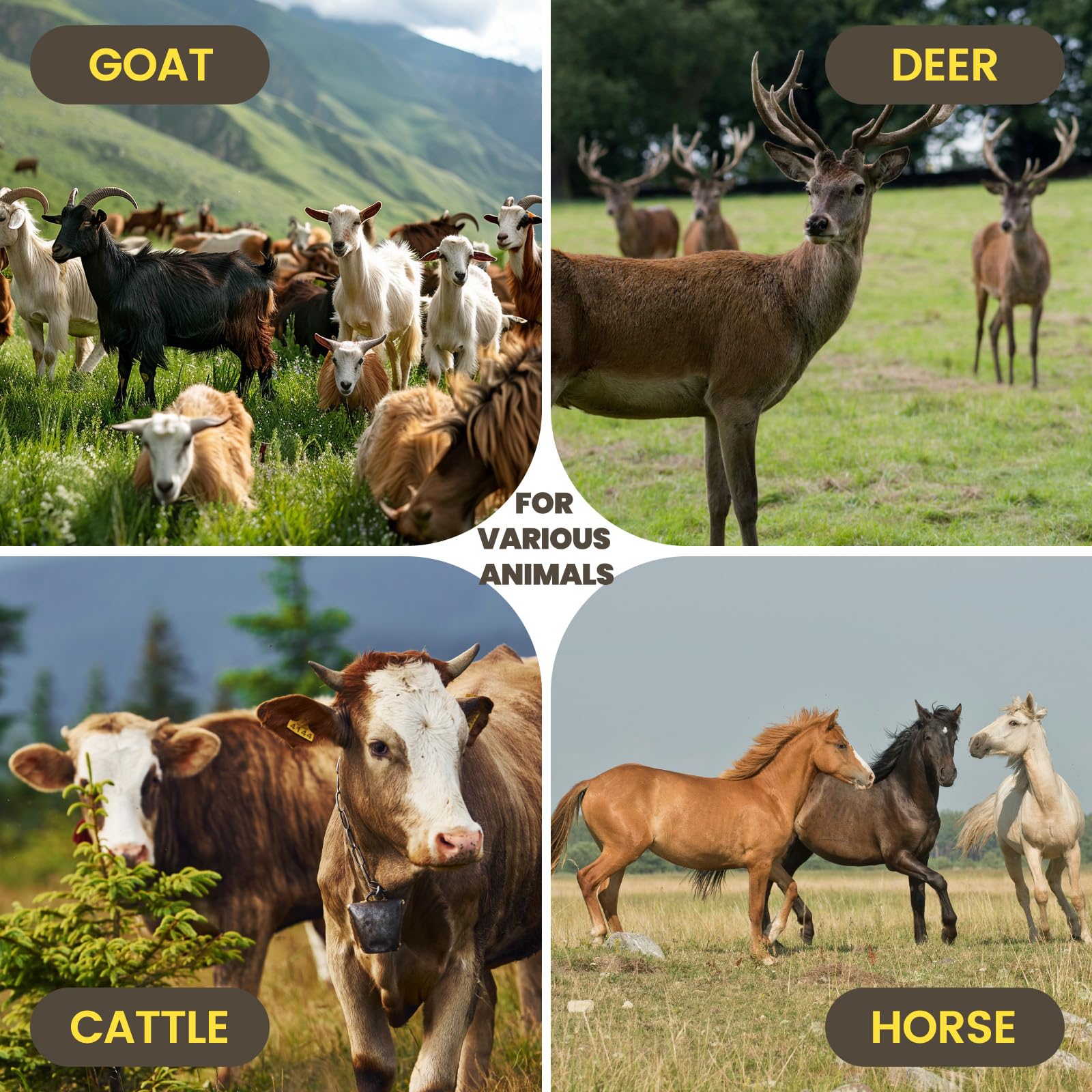 MERIANE pasture setup with livestock showing reliable containment benefit