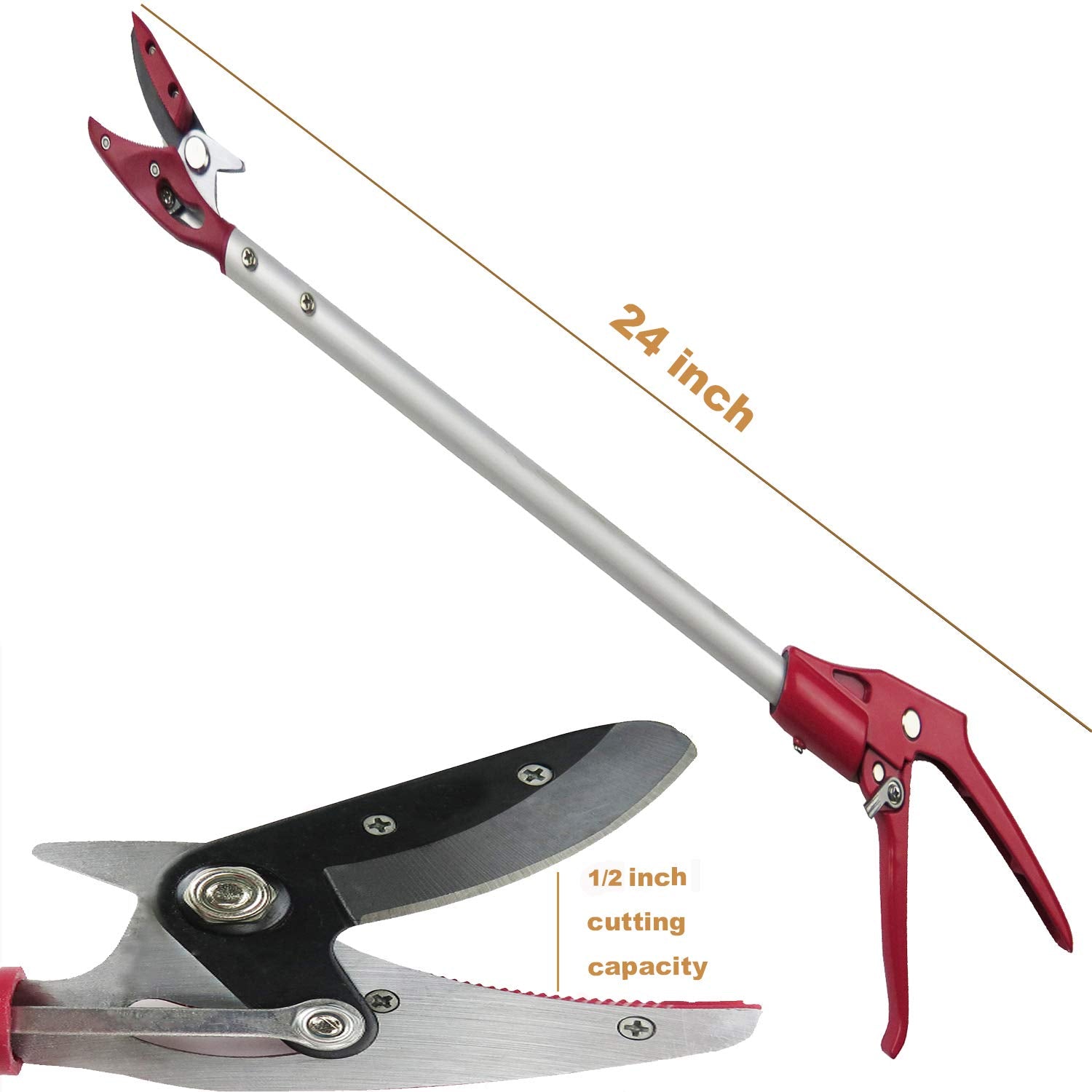 Mesoga Cut & Hold mechanism close-up preserving fruit condition